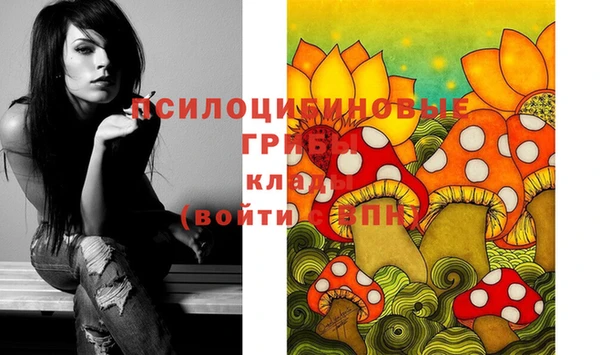 наркотики Новозыбков