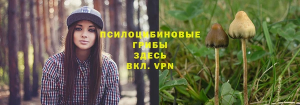 mdma Новодвинск