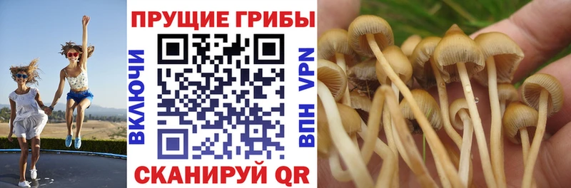 Галлюциногенные грибы GOLDEN TEACHER Кузнецк