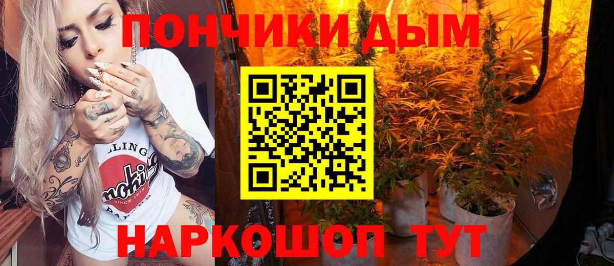 Канабис Amnesia  Каннабис гибрид  Кузнецк  Конопля индика  Шишки марихуана THC 21% 
